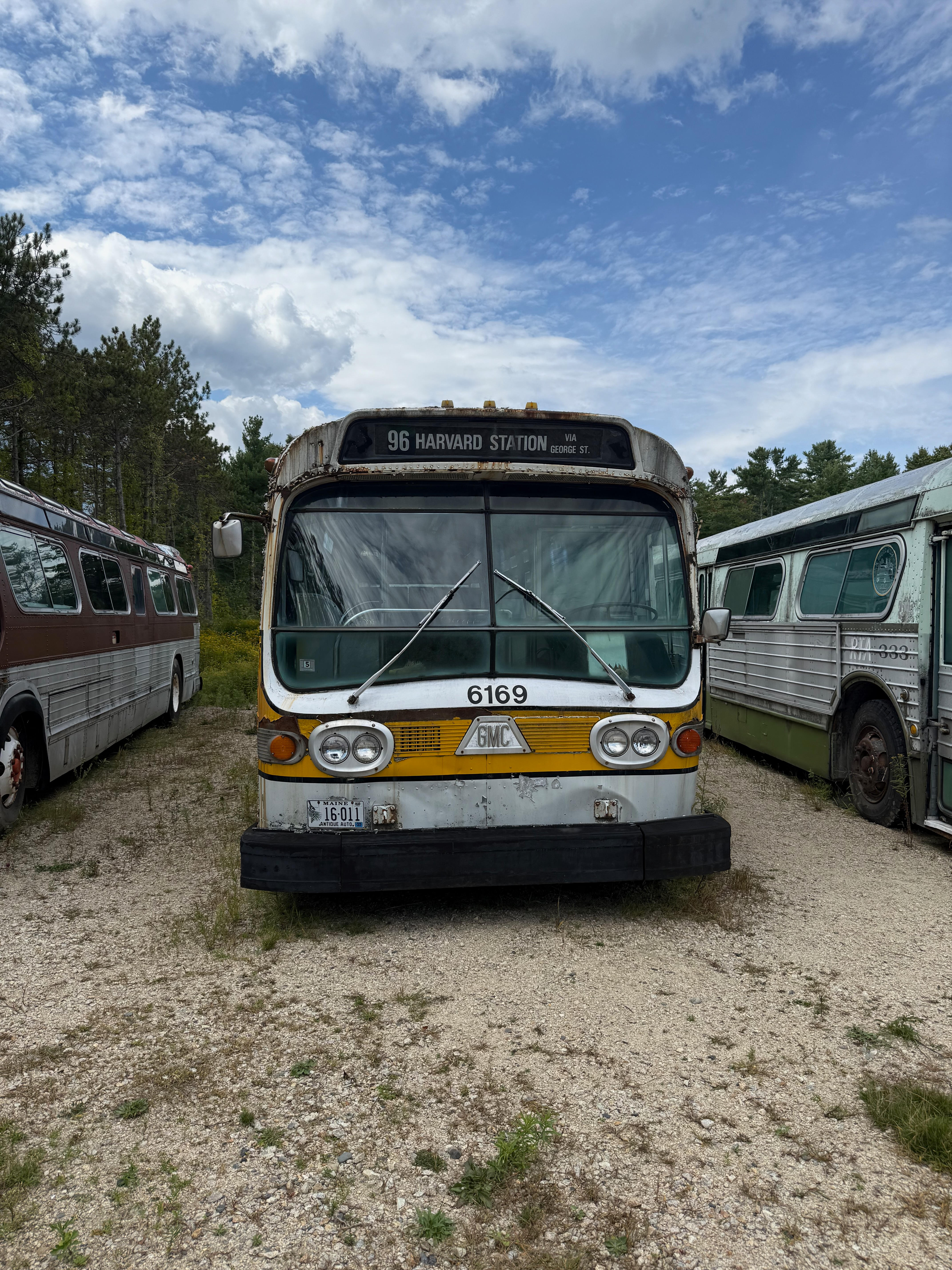 A head-on view of a vintage white and yellow GMC “fishbowl” bus, number 6169. Its destination sign reads “96 HARVARD STATION”. The bus is parked on a gravel lot between two other old buses.